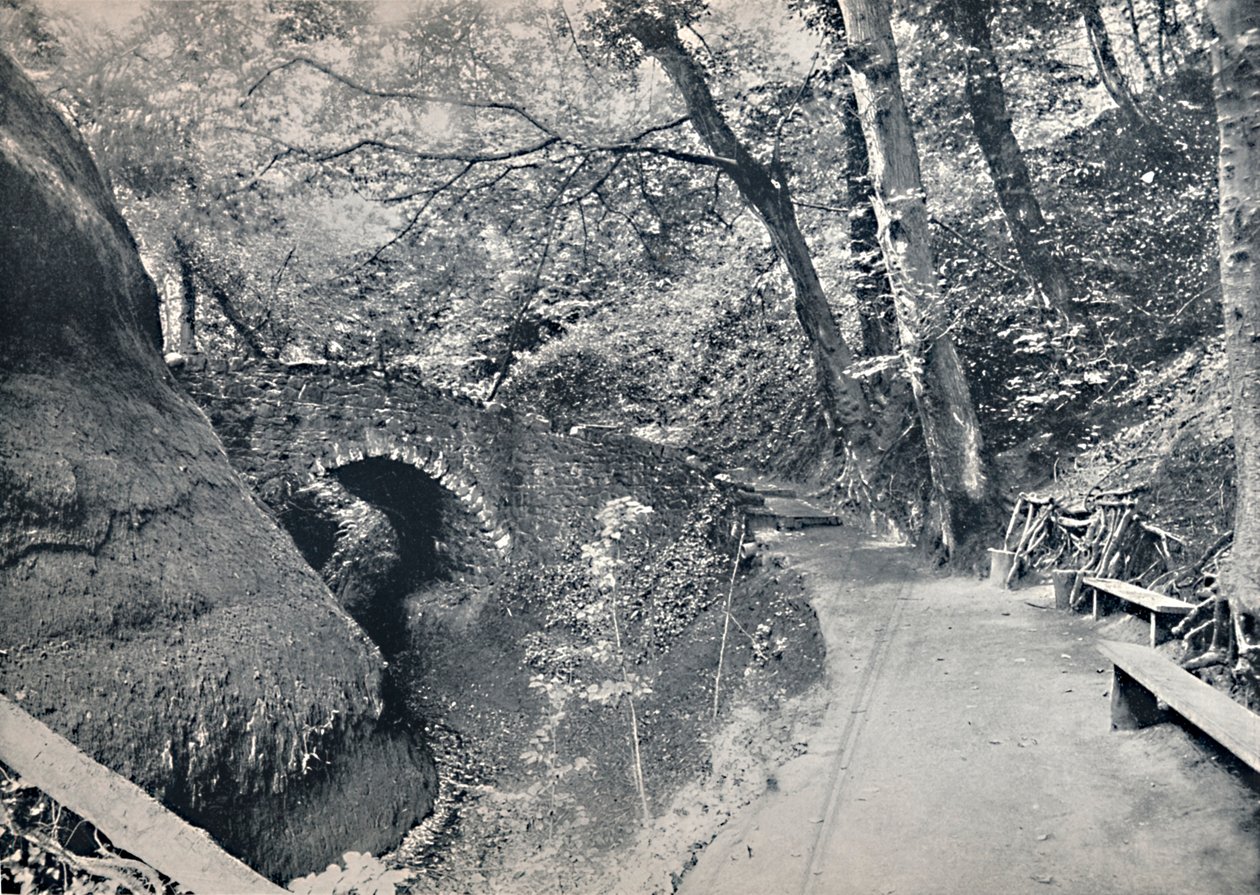 Shanklin - The Chine, 1895 av Unbekannt