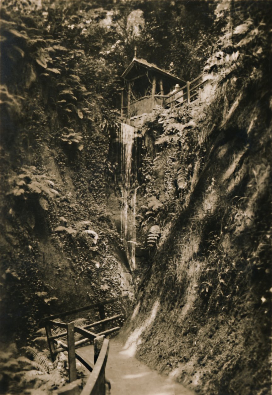 Shanklin Chine, I.W., c1920. av Unbekannt