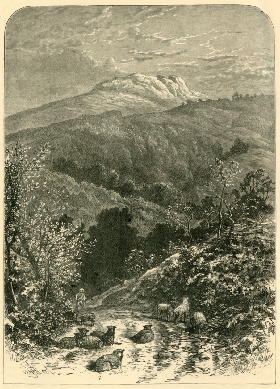 Sheepstor, 1898. av Unbekannt