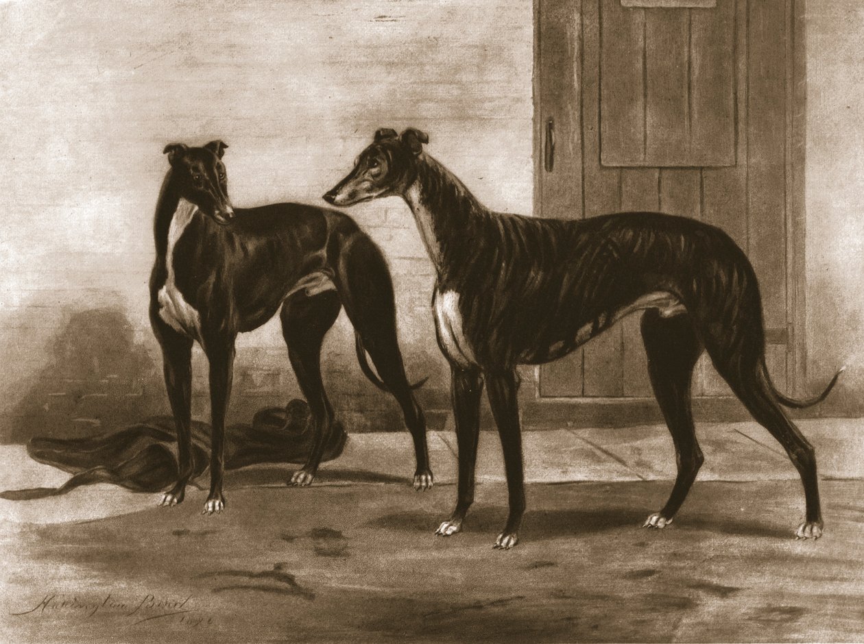 Simonian og Fullerton, c1891, 1911. av Unbekannt