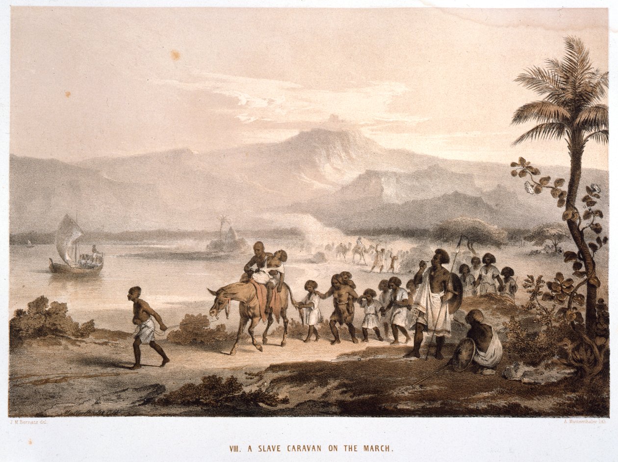 Slavekonvoi i mars 1852 av Unbekannt