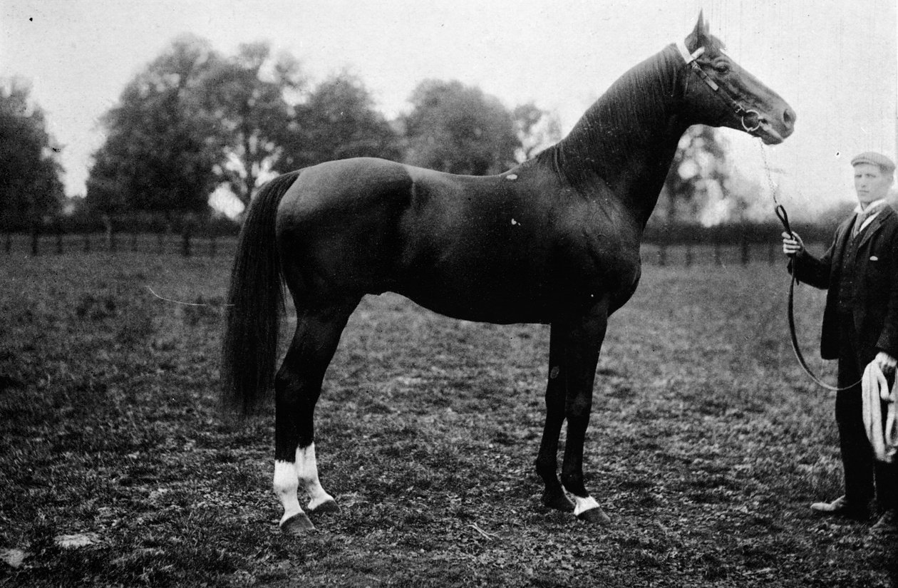 Surefoot, 1911 av Unbekannt