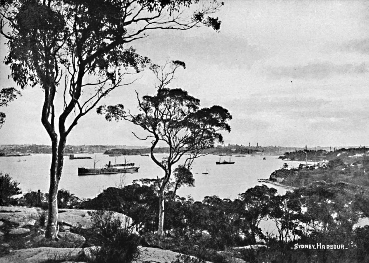 Sydney Harbour, fra Cremorne Point, c1900. av Unbekannt