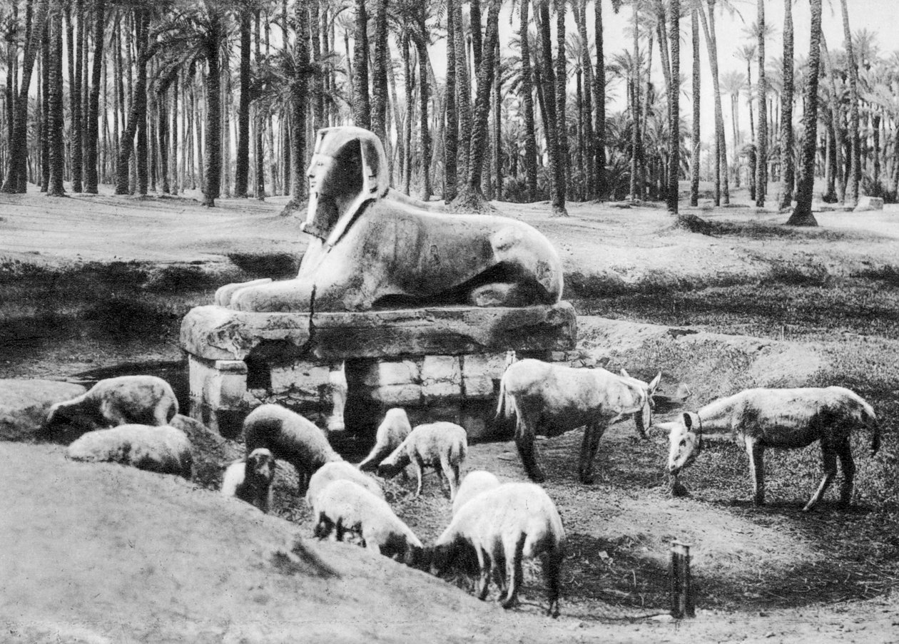 Alabastersfinksen, Kairo, Egypt, ca 1920-tallet av Unbekannt