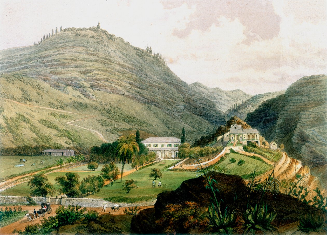 The Briars, St. Helena, tidlig på 1800-tallet 1851 av Unbekannt