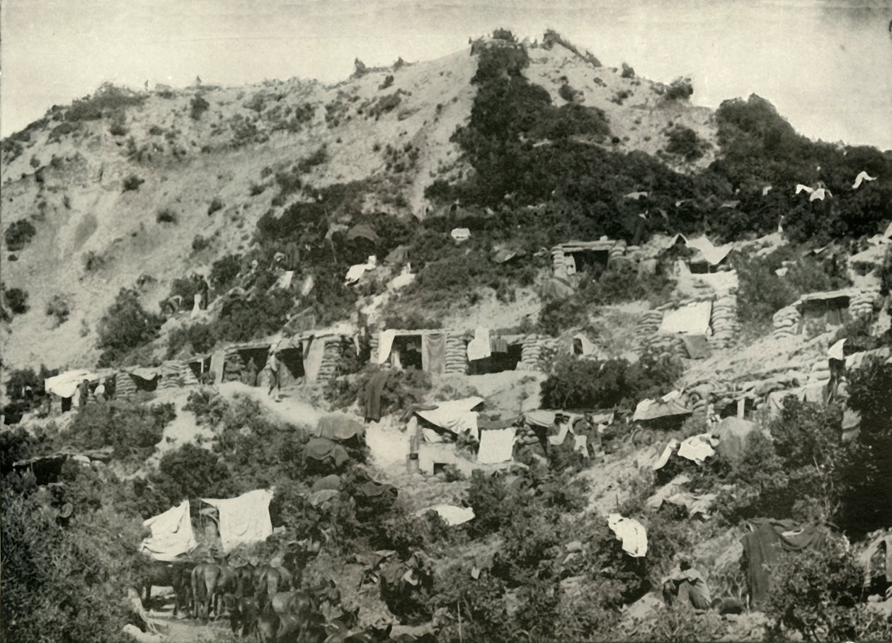 De britiske troppene på Gallipoli-halvøya, 1919. av Unbekannt
