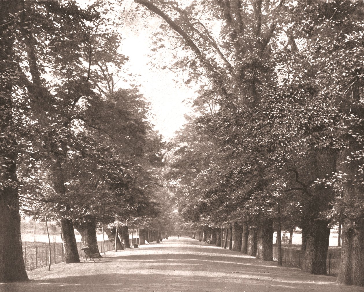 The Broad Walk, Oxford, 1894. av Unbekannt