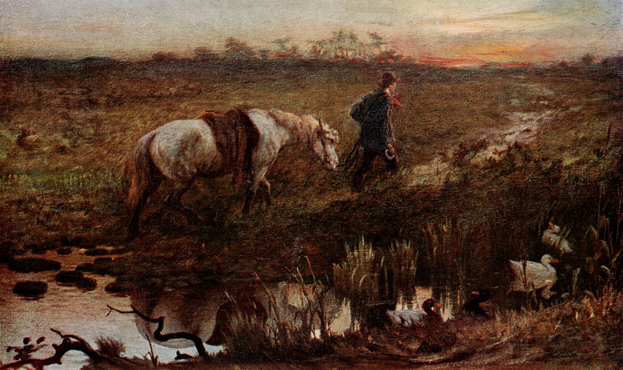 The Cast Shoe, 1865 1901 av Unbekannt