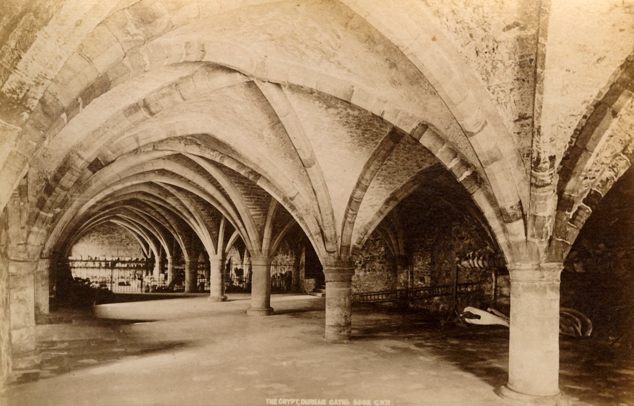 The Crypt, Durham Cathedral, 1893. av Unbekannt