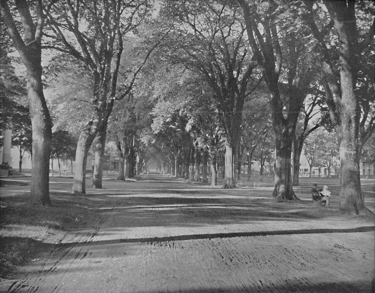 The Elms, New Haven, Conn., c1897. av Unbekannt