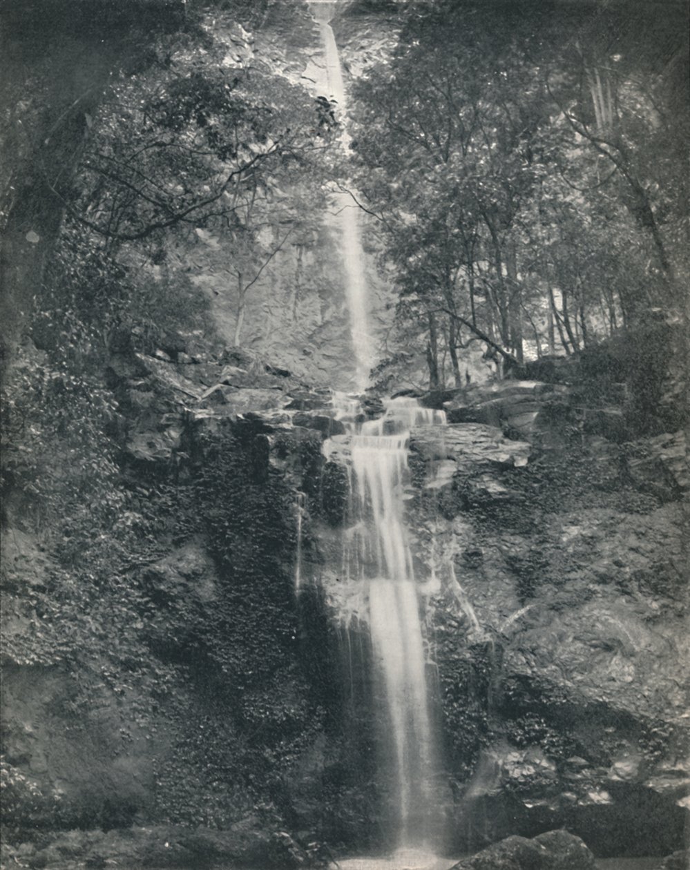 Emu Vale-fossen, 1800-tallet av Unbekannt