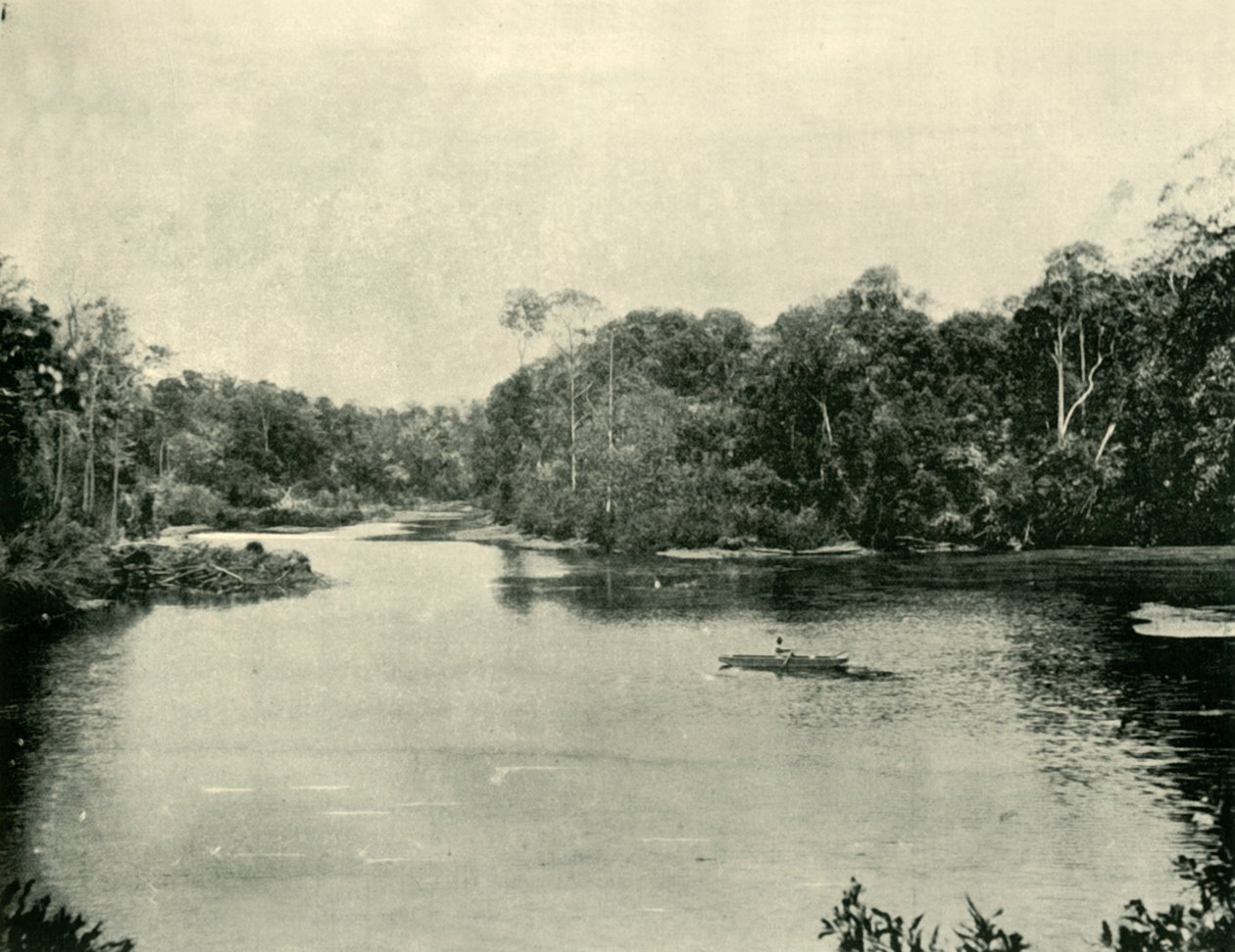 Ennoggera-reservoaret, 1901. av Unbekannt