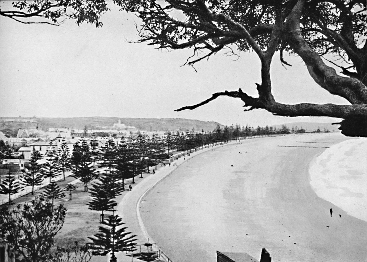 The Esplanade, Manly Beach, c1900. av Unbekannt