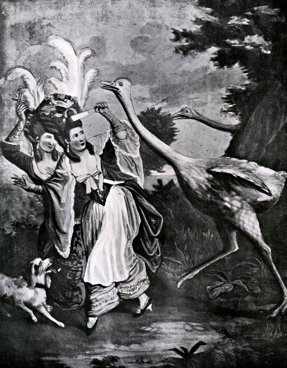 The Feathered Fair in a Fright, 1700-tallet av Unbekannt