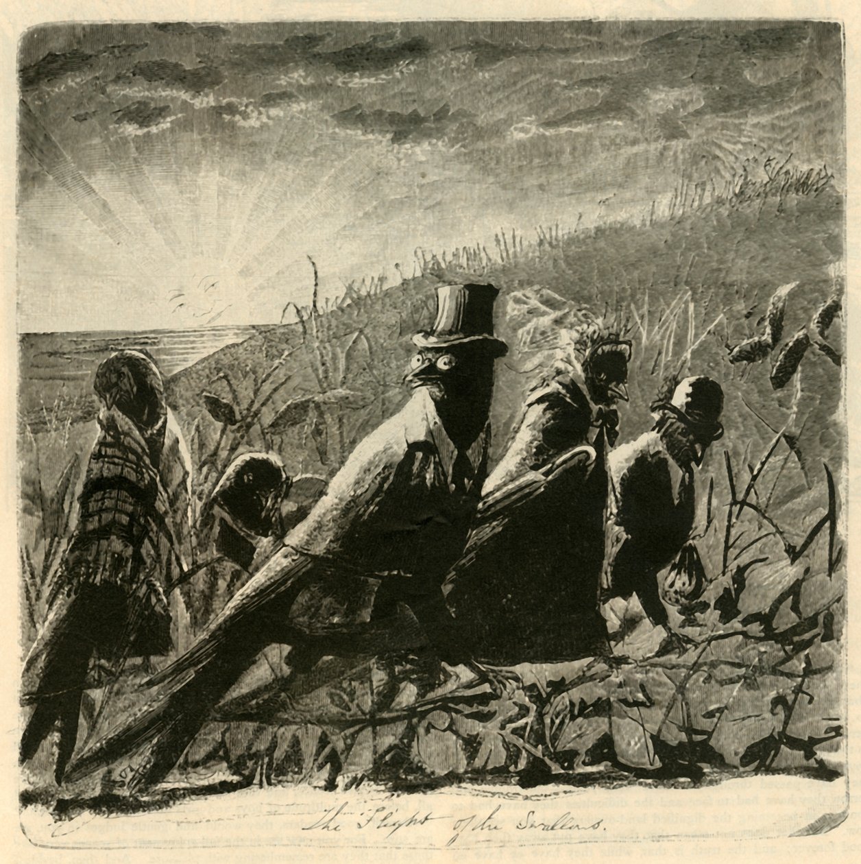 Svalenes flukt, 1882. av Unbekannt