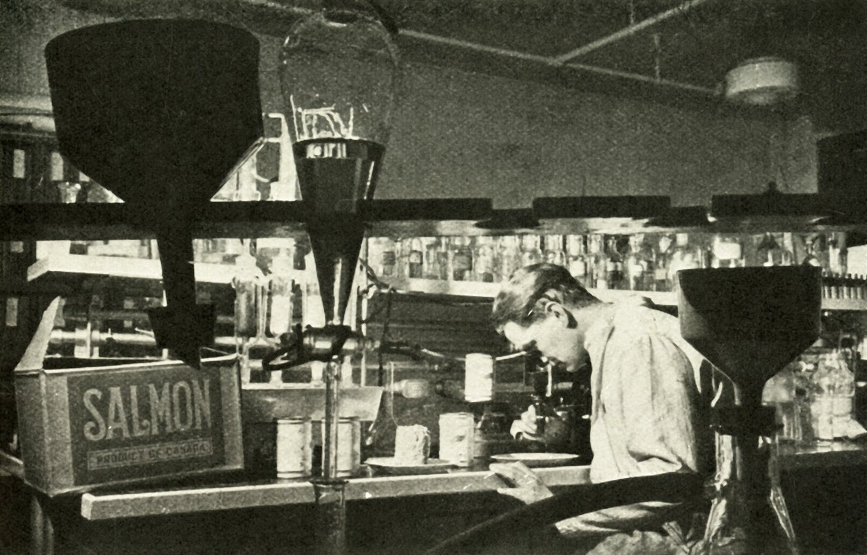 Den store lakseindustrien, c1948. av Unbekannt