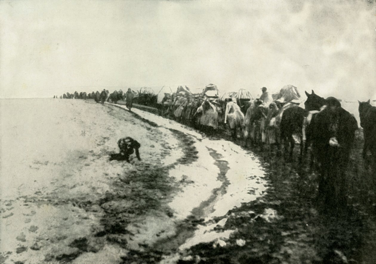The Great Serbian Retreat, 1919. av Unbekannt