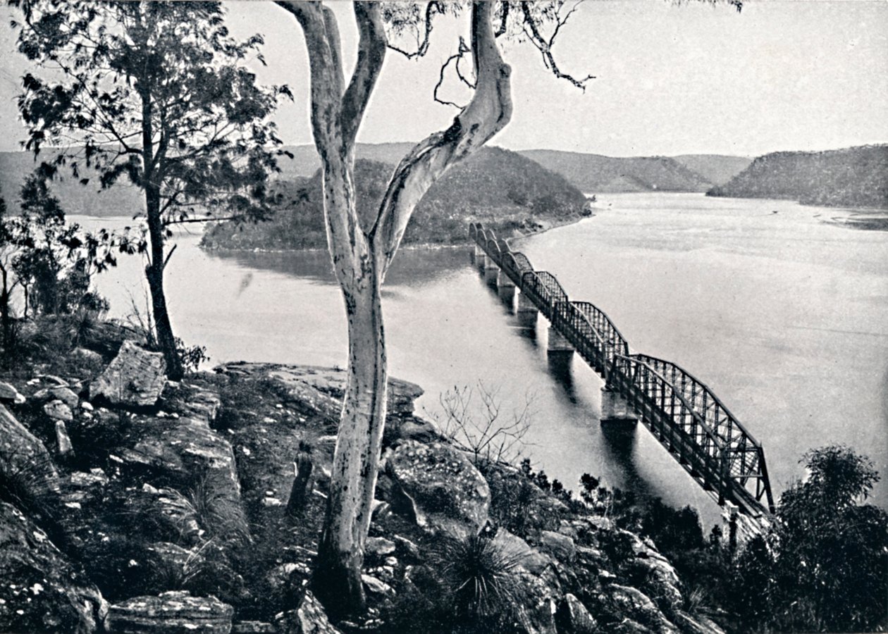 Hawkesbury River and Bridge, c1900. av Unbekannt