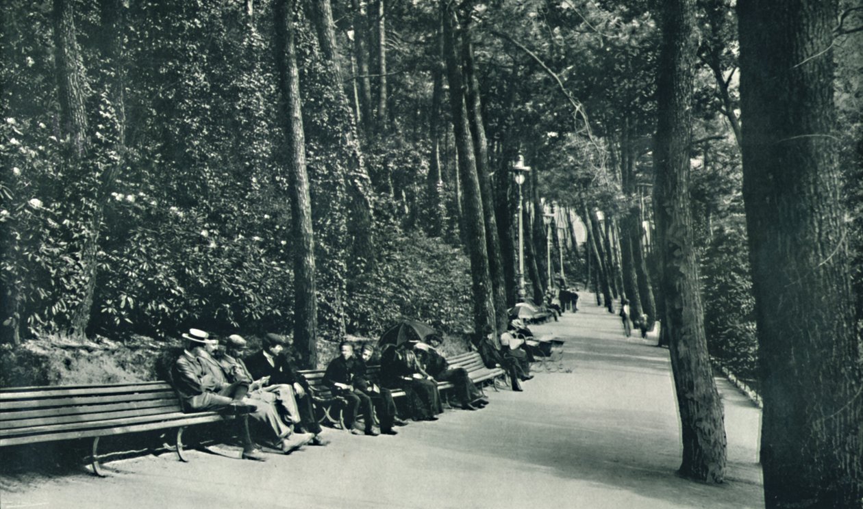 Invalids Walk, c1910 av Unbekannt