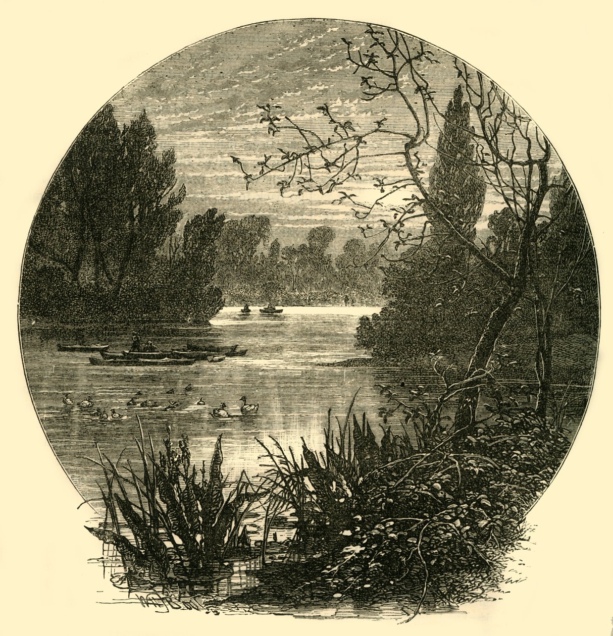 The Lake, Battersea Park, c1878. av Unbekannt