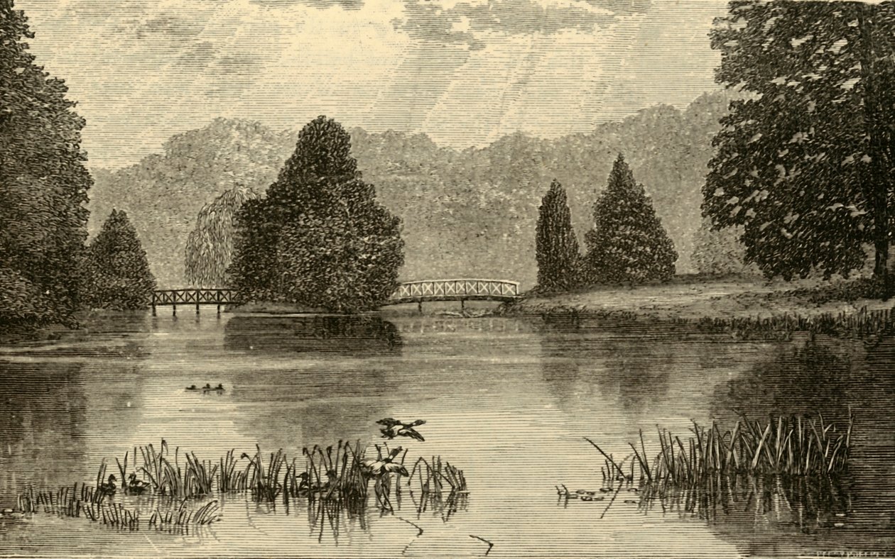 The Lake, Blenheim, 1898. av Unbekannt