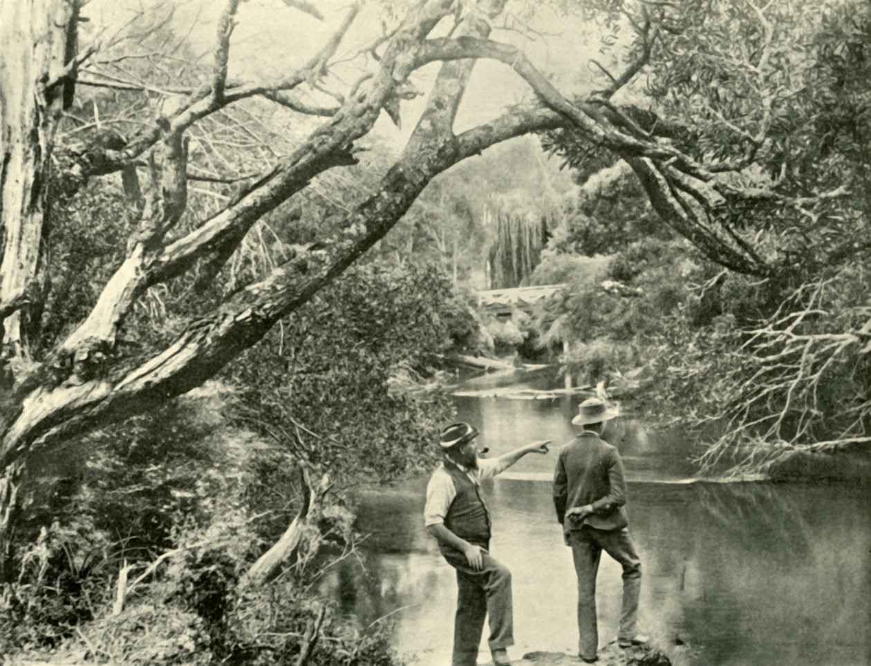 The Launching Place, Upper Yarra, Victoria, 1901. av Unbekannt