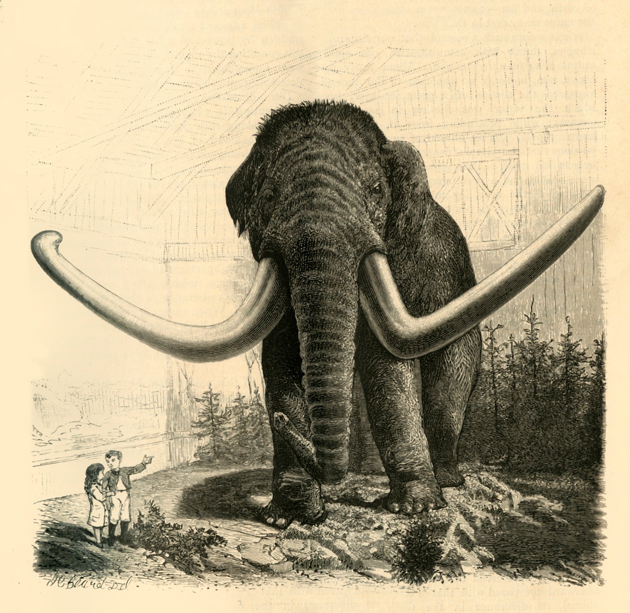 The Mammoth of St. Petersburg, 1883. av Unbekannt