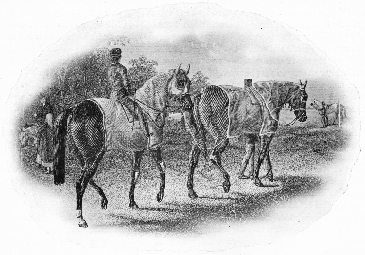 The Next Race, 1800-tallet, 1911 av Unbekannt