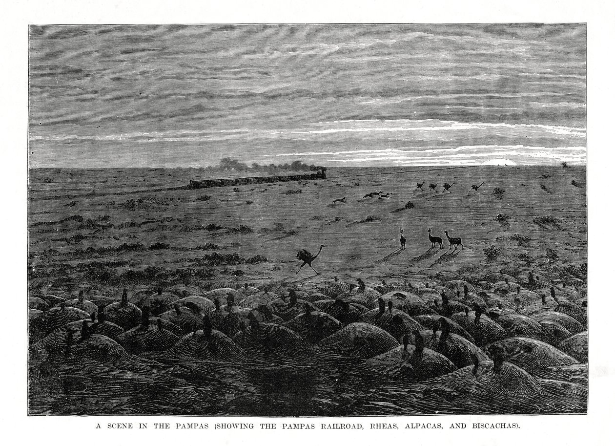 Pampas-jernbanen, søramerikansk lavland, 1877 av Unbekannt