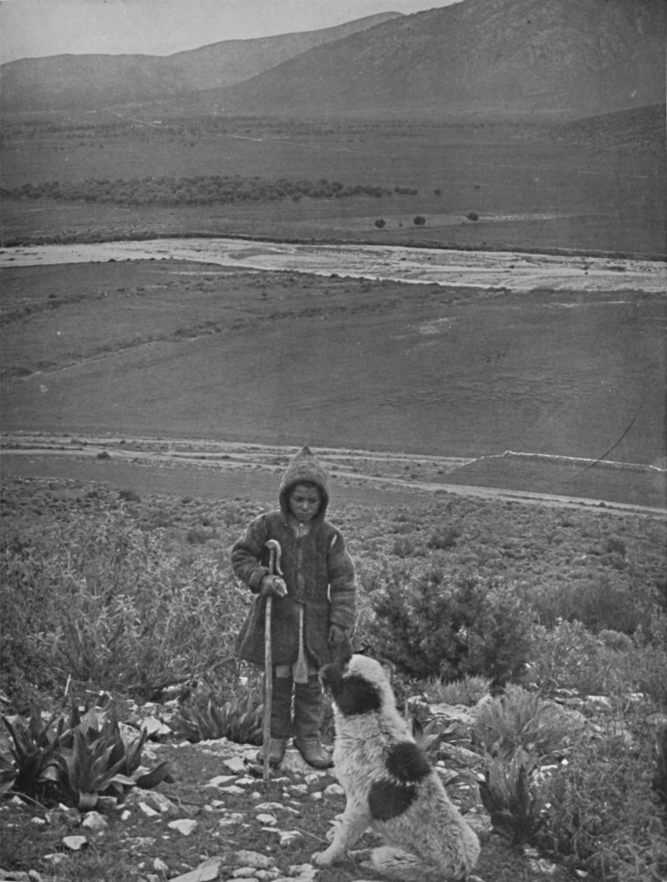 The Plain of Marathon, 1913 av Unbekannt