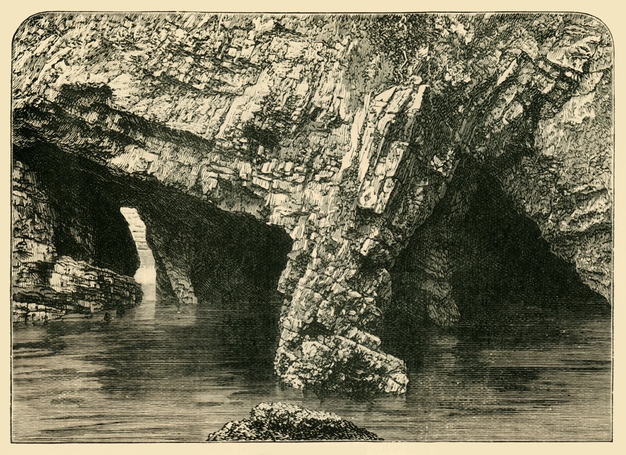 De syv buene, 1898. av Unbekannt