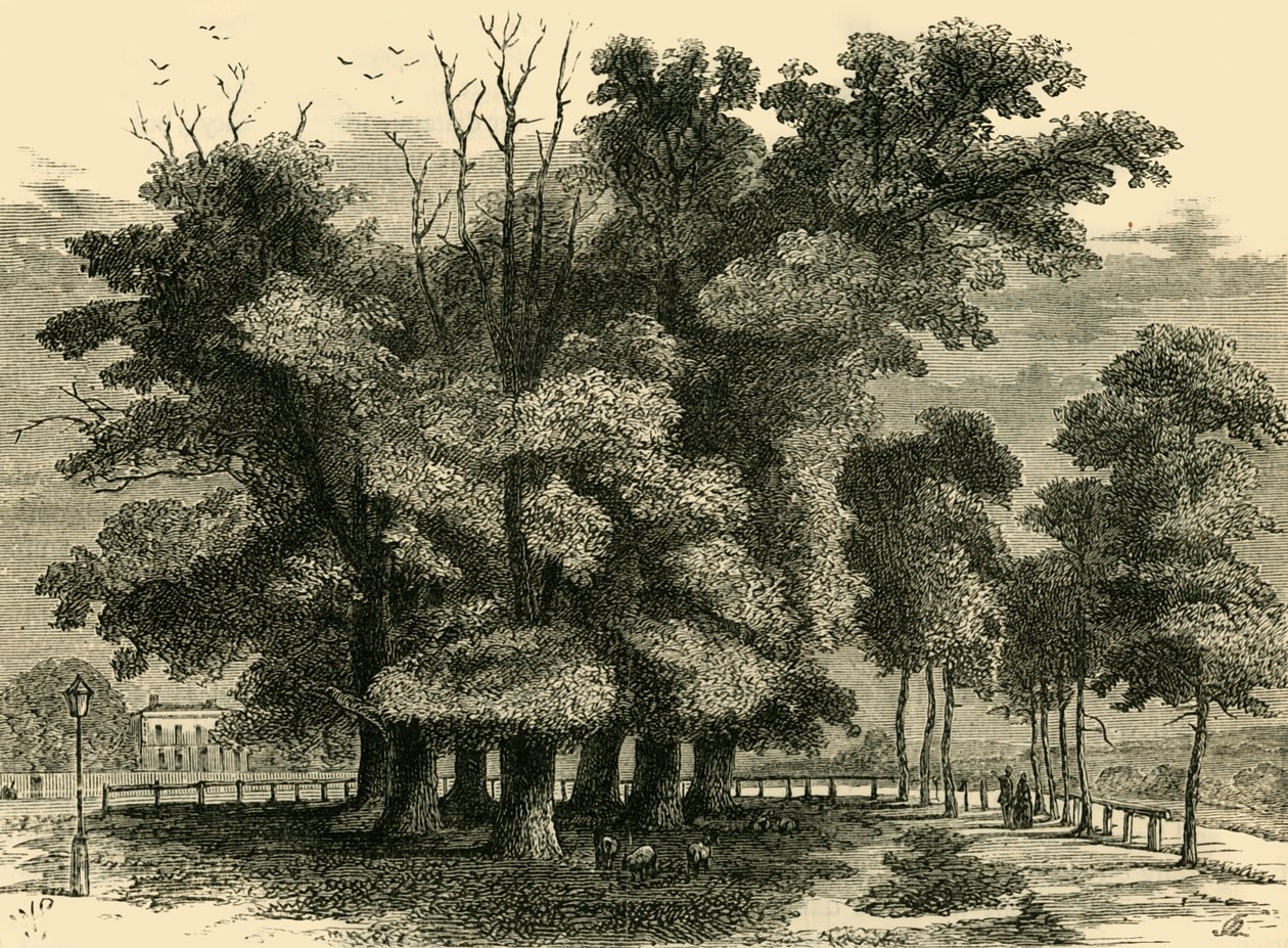 De syv søstre, i 1830, c1876. av Unbekannt