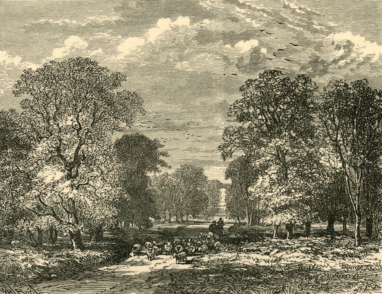 Southampton Road, 1898. av Unbekannt