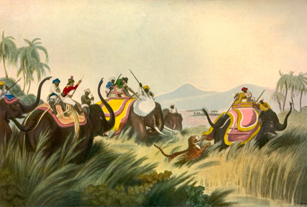 Tigerjakten, c1808, 1901. av Unbekannt
