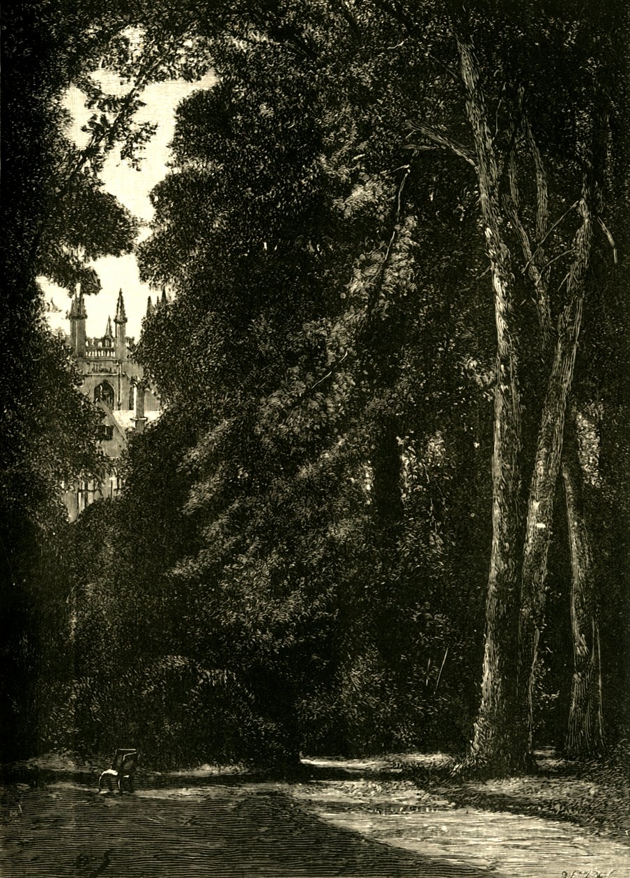 Tower of Merton, fra hagen, 1898. av Unbekannt