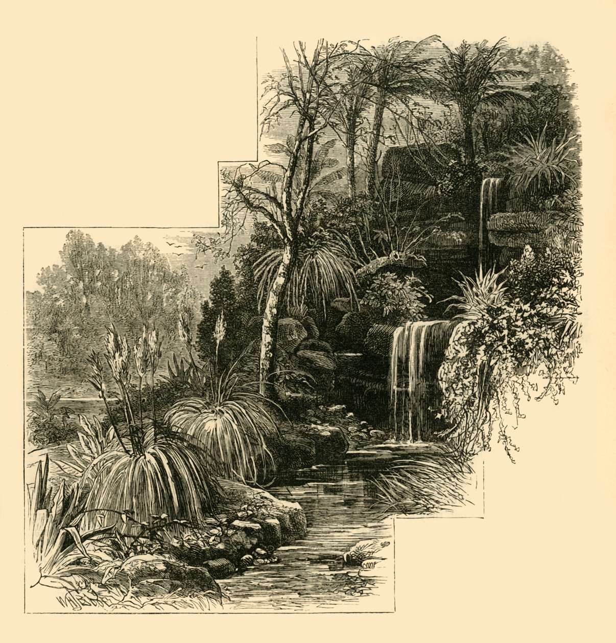 The Tropical Gardens, Battersea Park, c1878. av Unbekannt