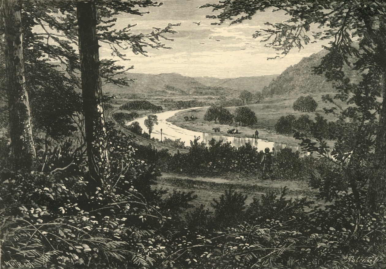 The Vale of Avoca, 1898. av Unbekannt