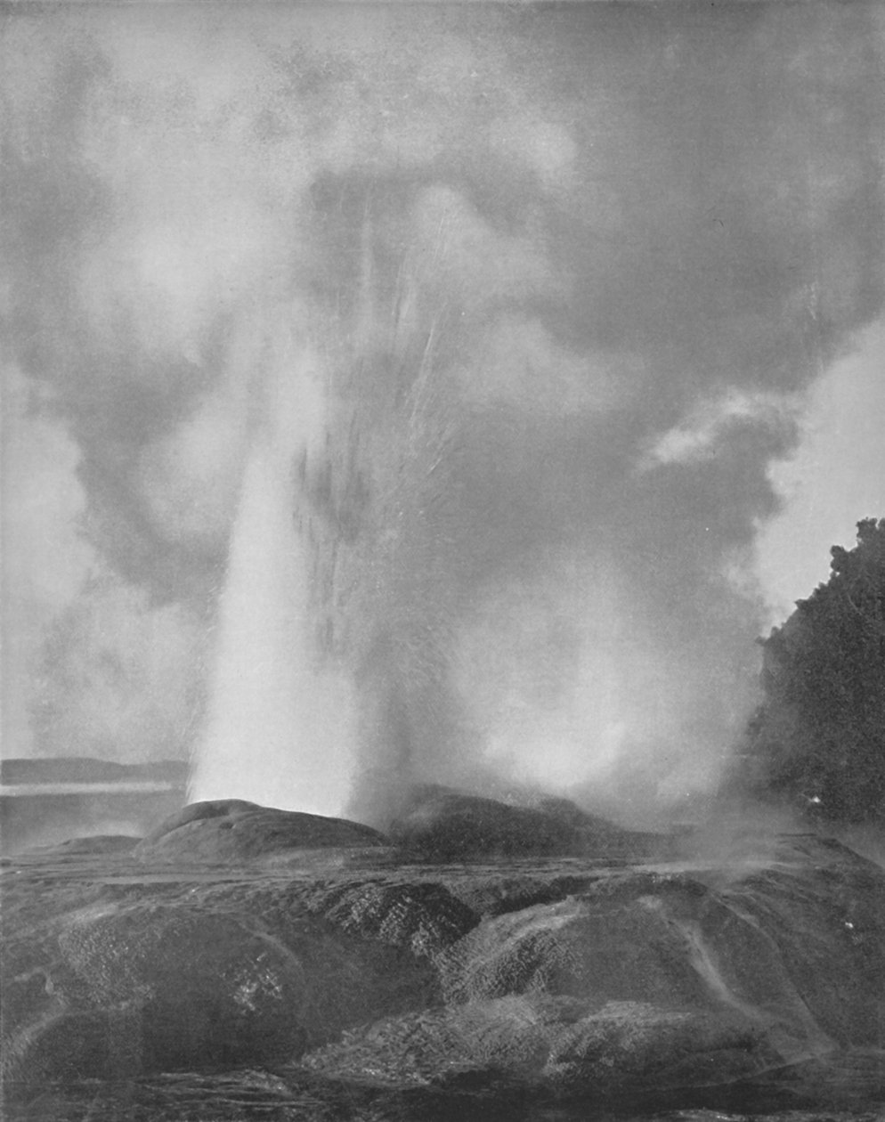 Waikite Geyser, 1800-tallet av Unbekannt