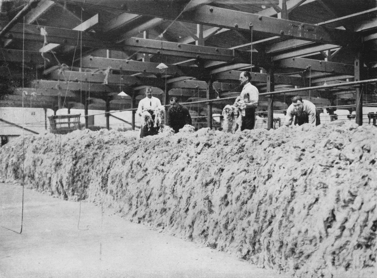 Fremstillingen av khaki - Ullblanding, 1915 av Unbekannt