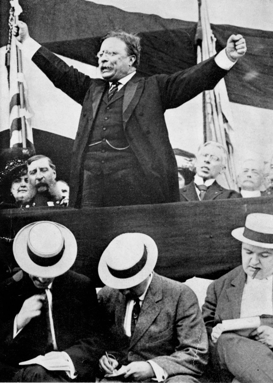 Theodore Roosevelt, amerikansk president, 1901-1909 av Unbekannt