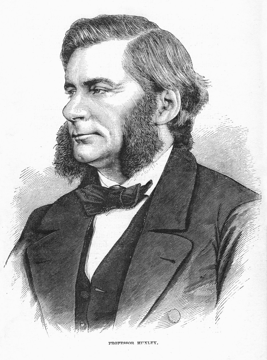 Thomas Henry Huxley , britisk biolog, ca 1860-tallet av Unbekannt