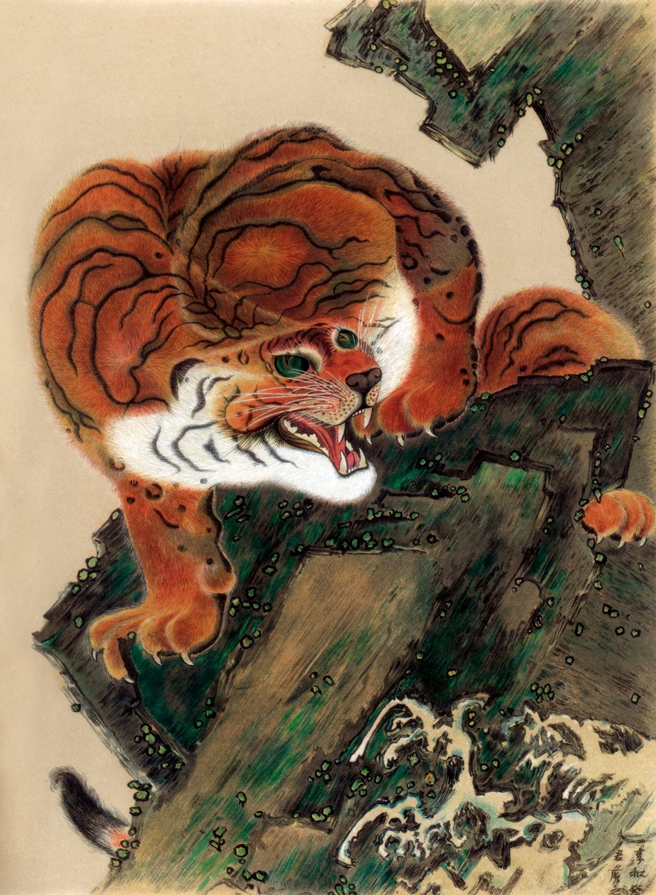 Tiger fra livet, 1803 1886 av Unbekannt