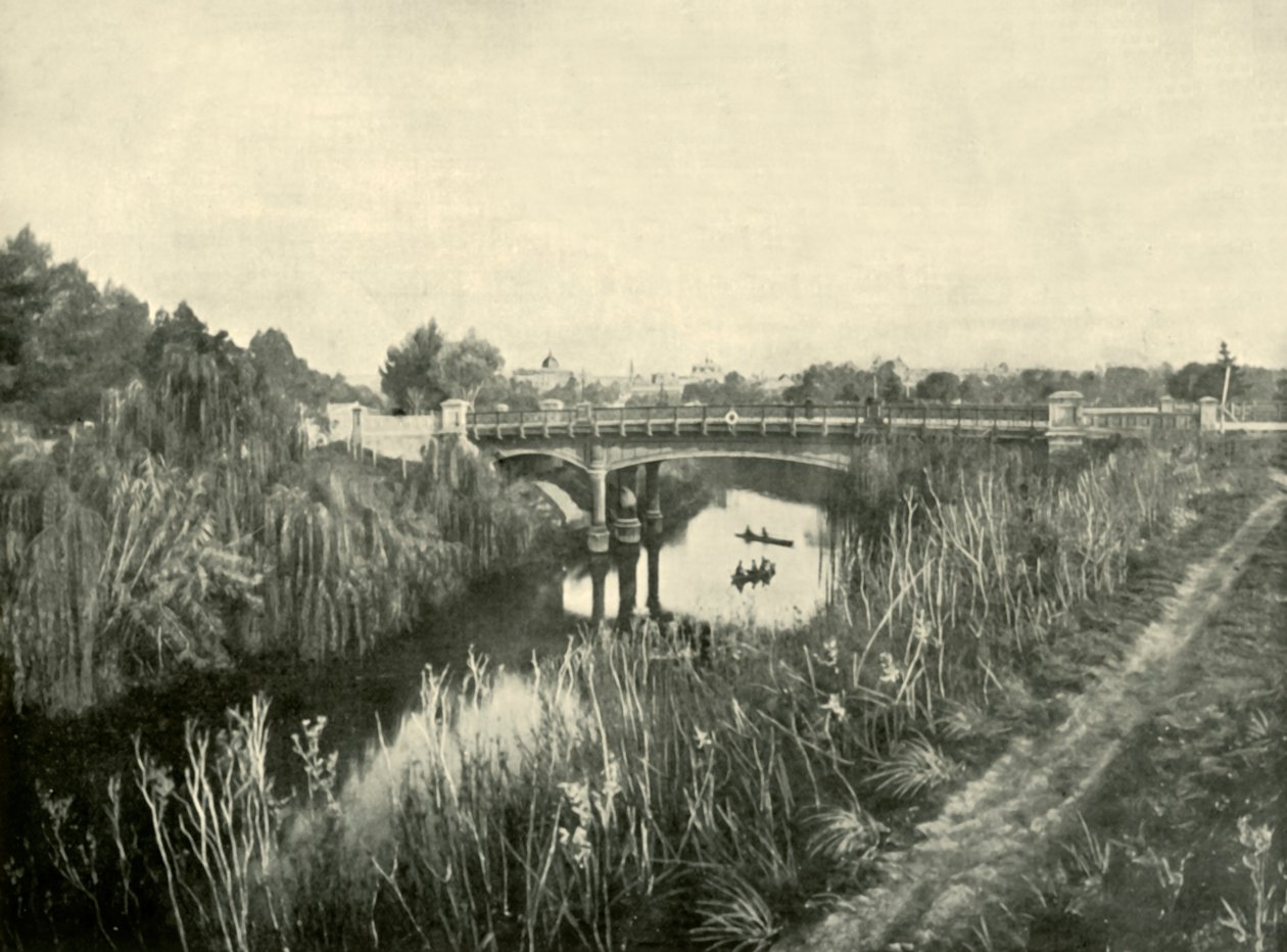 Torrens Lake, Adelaide, 1901. av Unbekannt