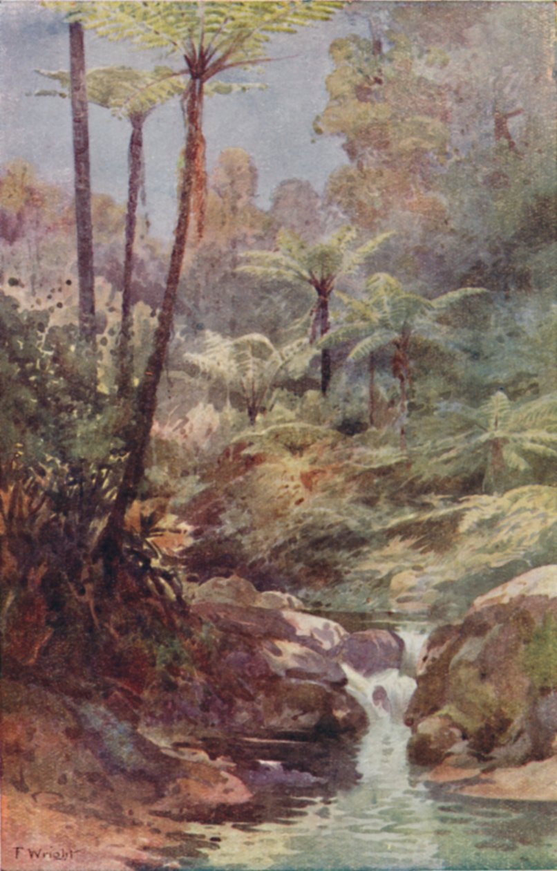 Trebregner, 1923. av Unbekannt