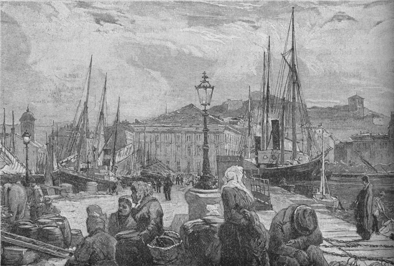 Trieste havn, 1902 av Unbekannt