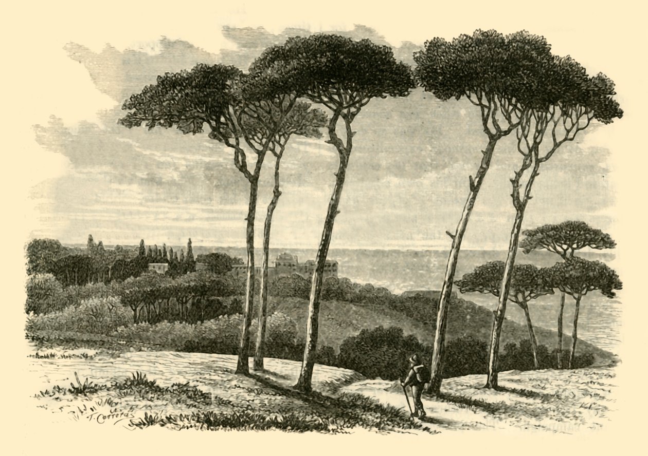 Tusculum, 1890. av Unbekannt