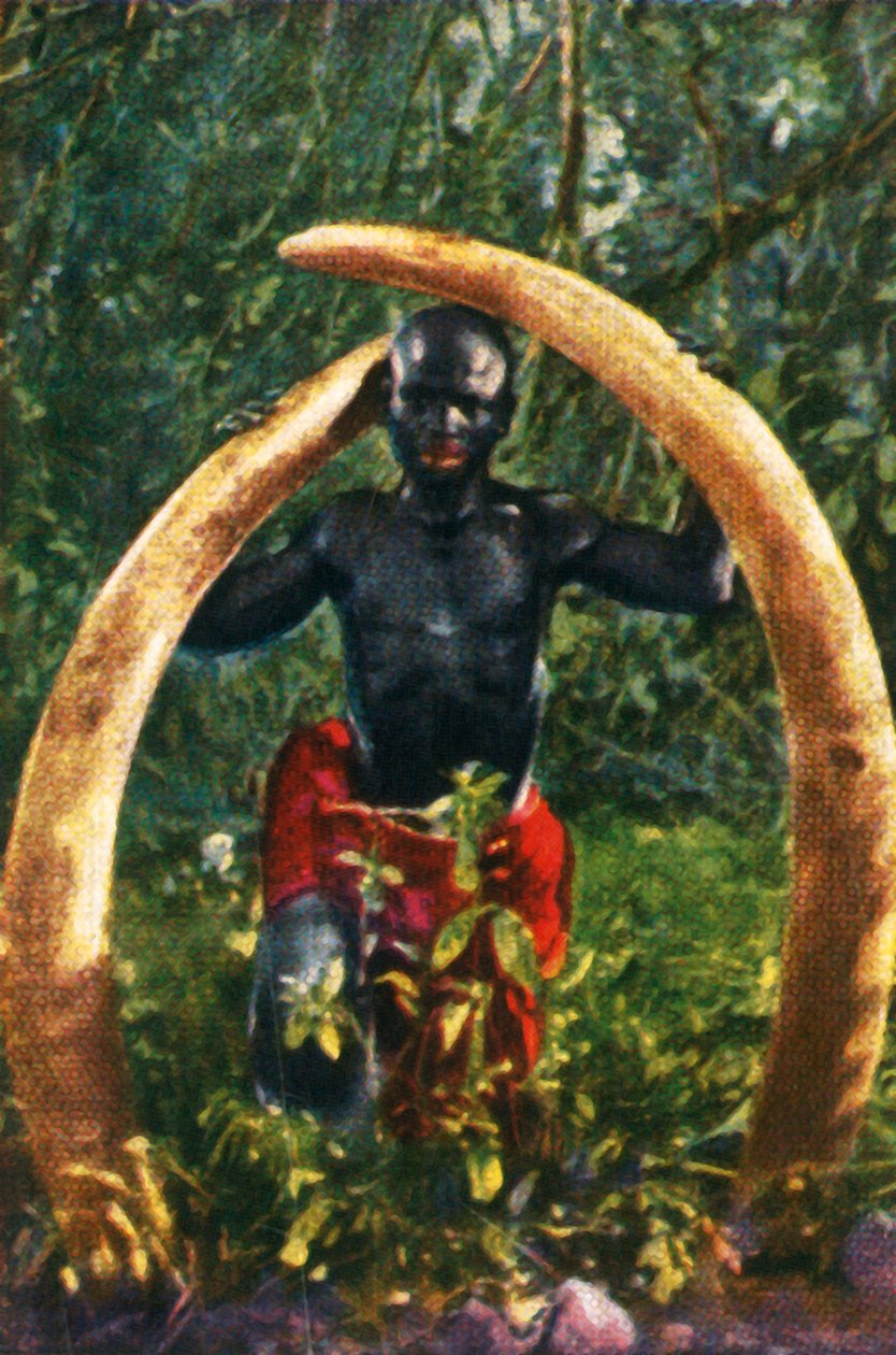 Stenner av en afrikansk elefant, c1928. av Unbekannt