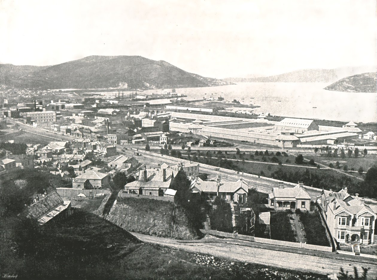 Utsikt fra Maitland Street, Dunedin, New Zealand, 1895. av Unbekannt