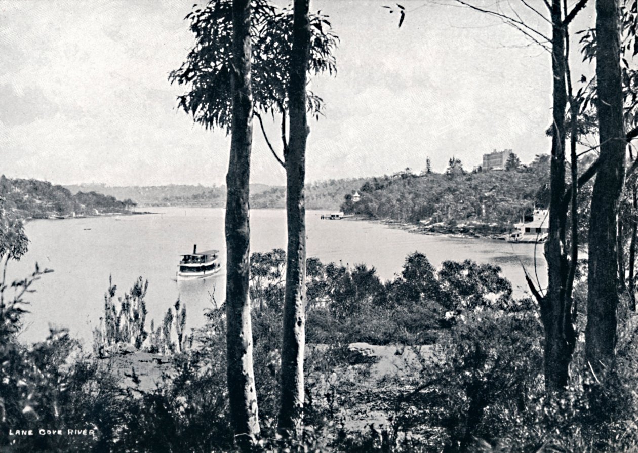 Utsikt over Lane Cove River, c1900. av Unbekannt