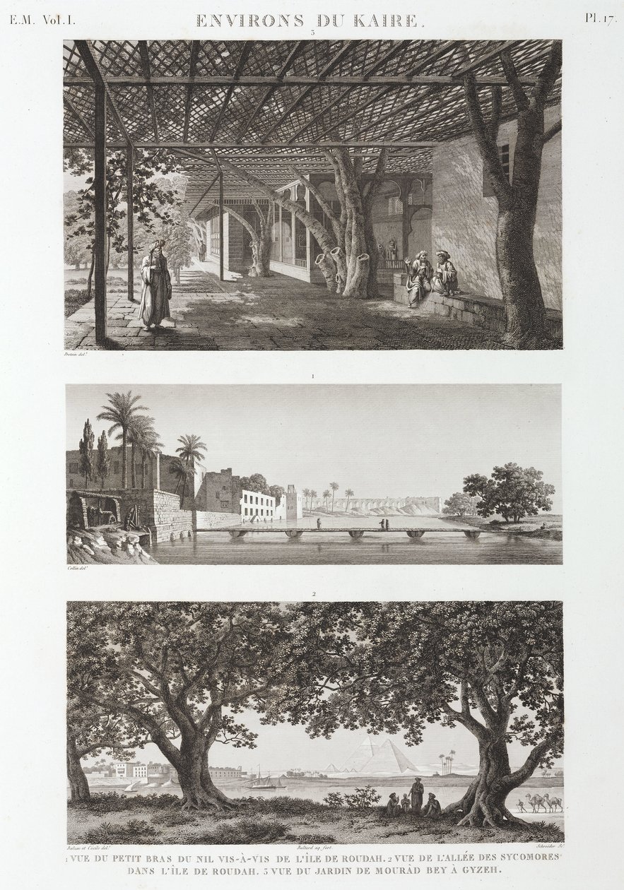 Utsikt rundt Kairo, Egypt, ca 1798 av Unbekannt